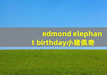 edmond elephant birthday小猪佩奇